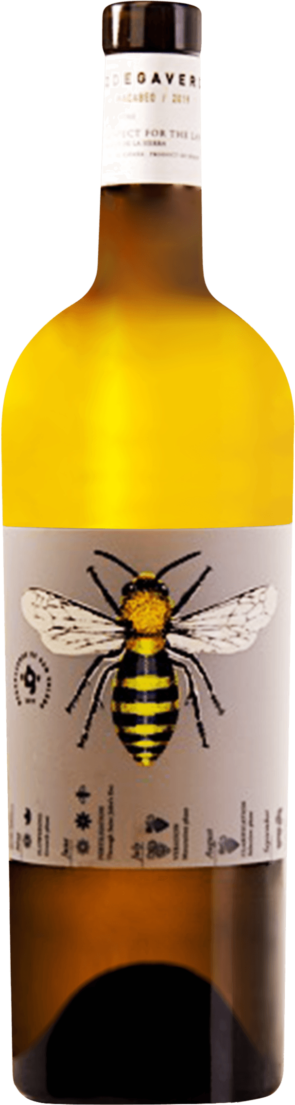 Bodega Verde, Carinena Blanco 2023 750 ML