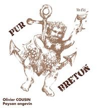 Olivier Cousin - Pur Breton Cabernet Franc 2022 (750ml) (750ml)